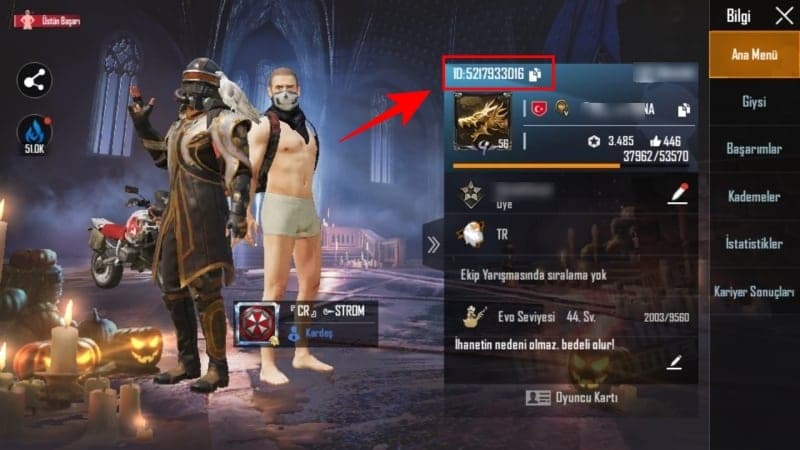 Cara cek ID akun PUBG Mobile Indonesia