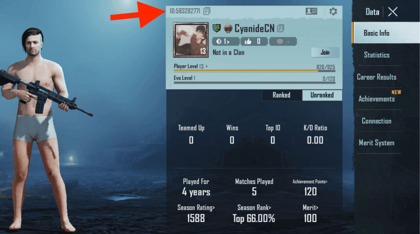 Cara cek ID akun PUBG Global